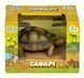 Фигурка животного "Сафари" (Черепаха) Q9899-A81-6 фото 5